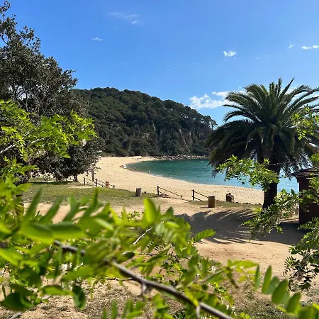 Casa Trigo Hébergement de vacances Massanet De La Selva